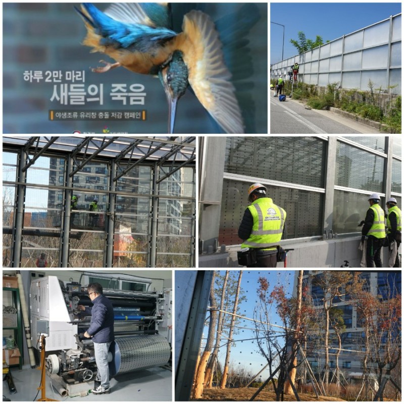 유리창 새 조류충돌방지 필름 버드스탑